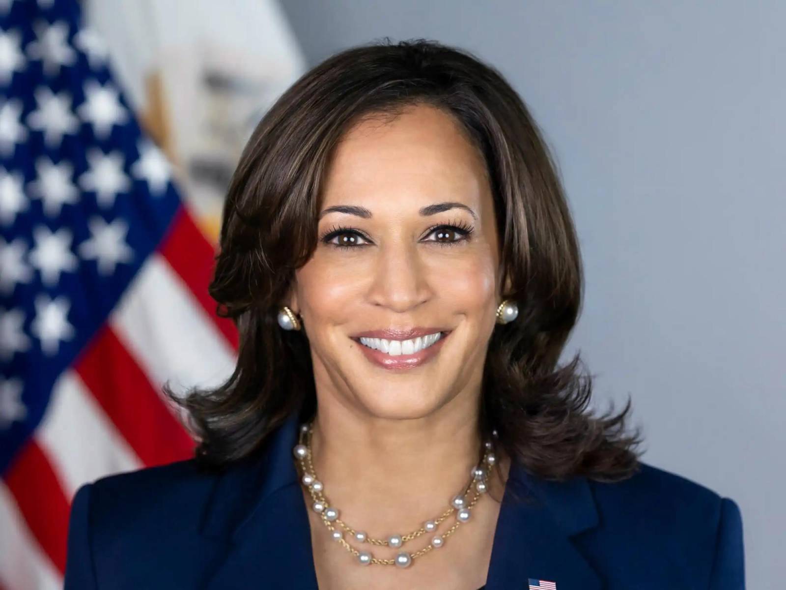 Kamala Harris no solo trae consigo una rica experiencia y un historial de logros, sino también una visión clara para el futuro de Estados Unidos. Sus propuestas incluyen políticas para abordar el cambio climático, reformar el sistema de justicia penal, y mejorar el acceso a la atención médica y derechos reproductivos.
