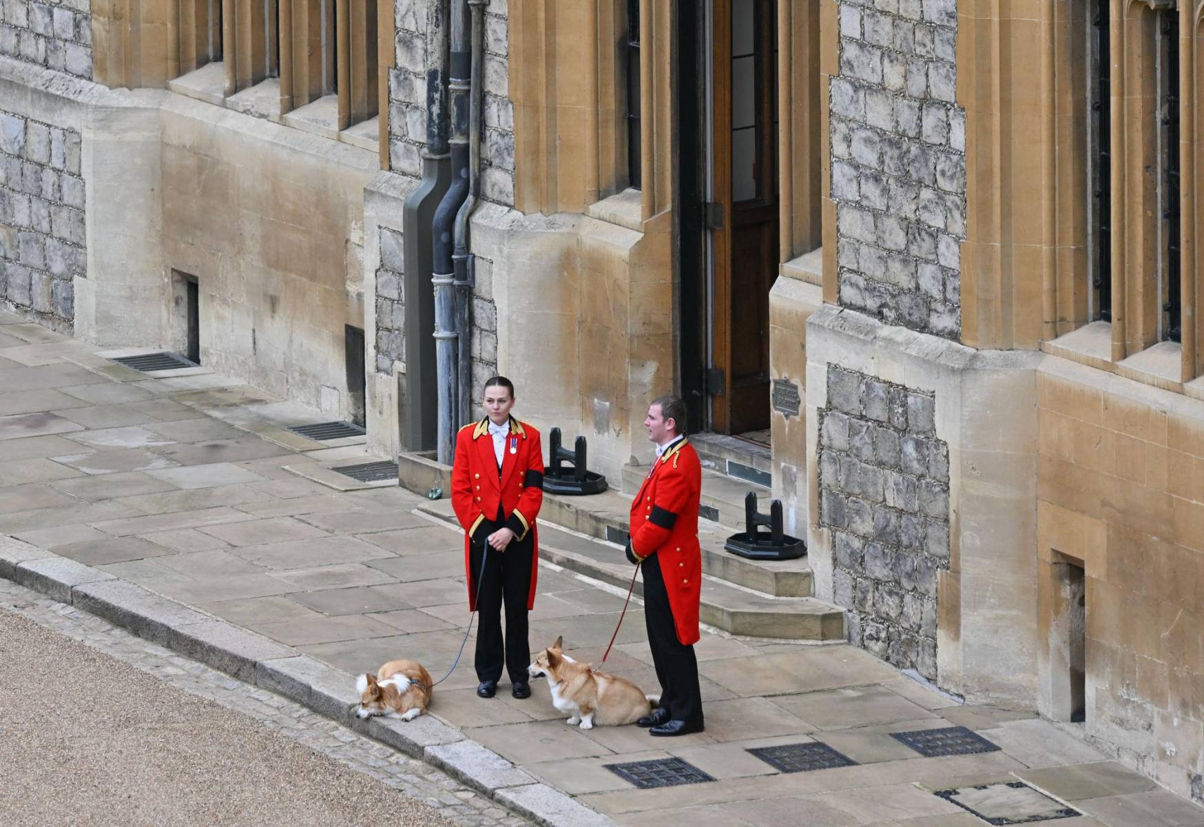 Los corgis de la reina Isabel, Muick y Sandy, esperaron la procesión del ataúd de su Majestad hacia Windsor para darle el último adiós a su amada dueña.