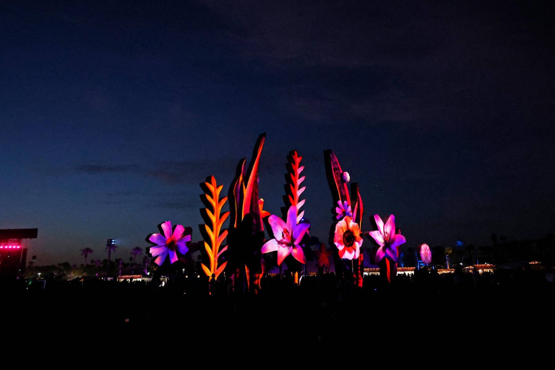 Los artistas que brillaron en Coachella