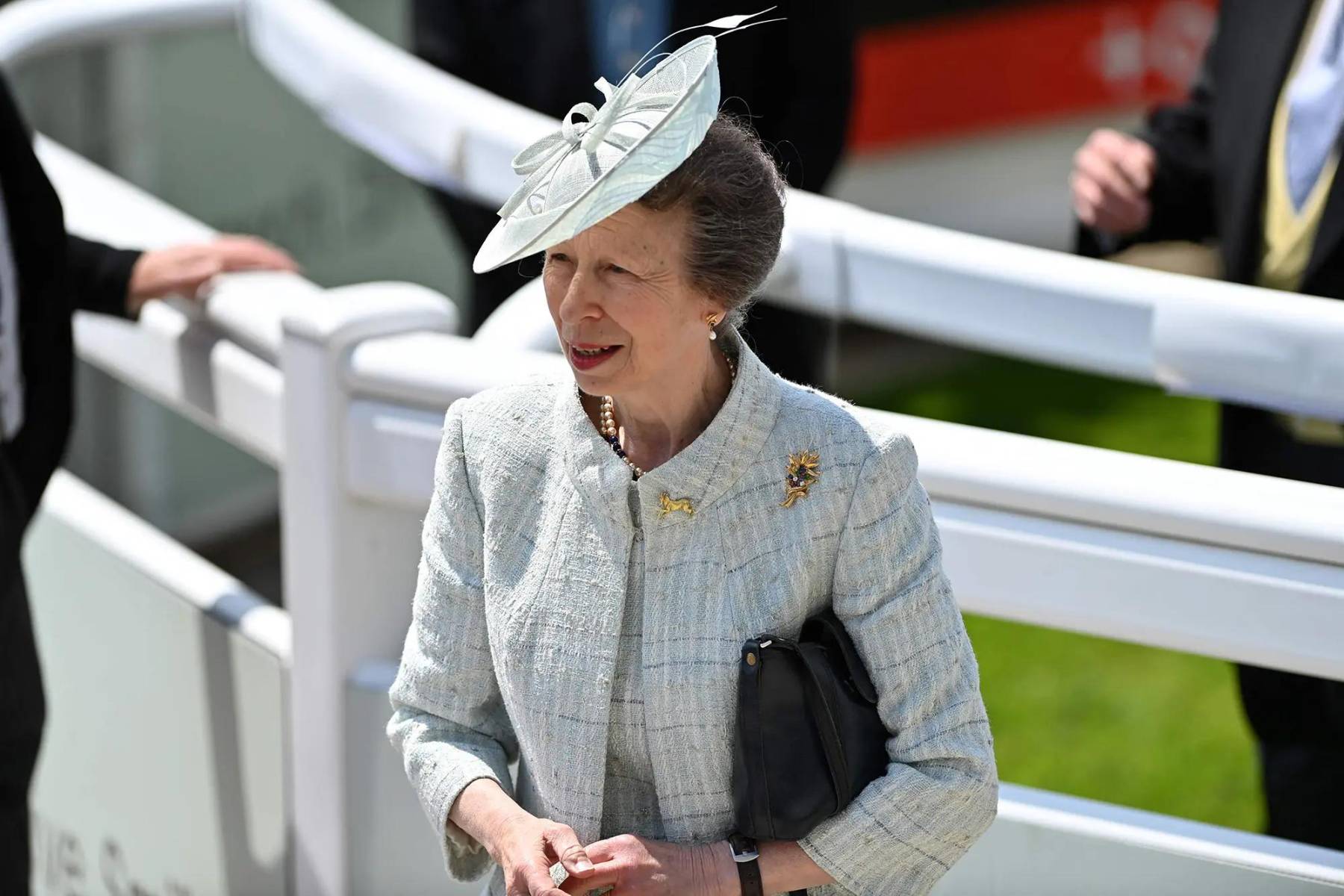 Posteriormente está la princesa Ana, la segunda hija de la reina Isabel. Debido a la ley de preferencia del varón sobre la mujer, sus hermanos menores están sobre ella. 
