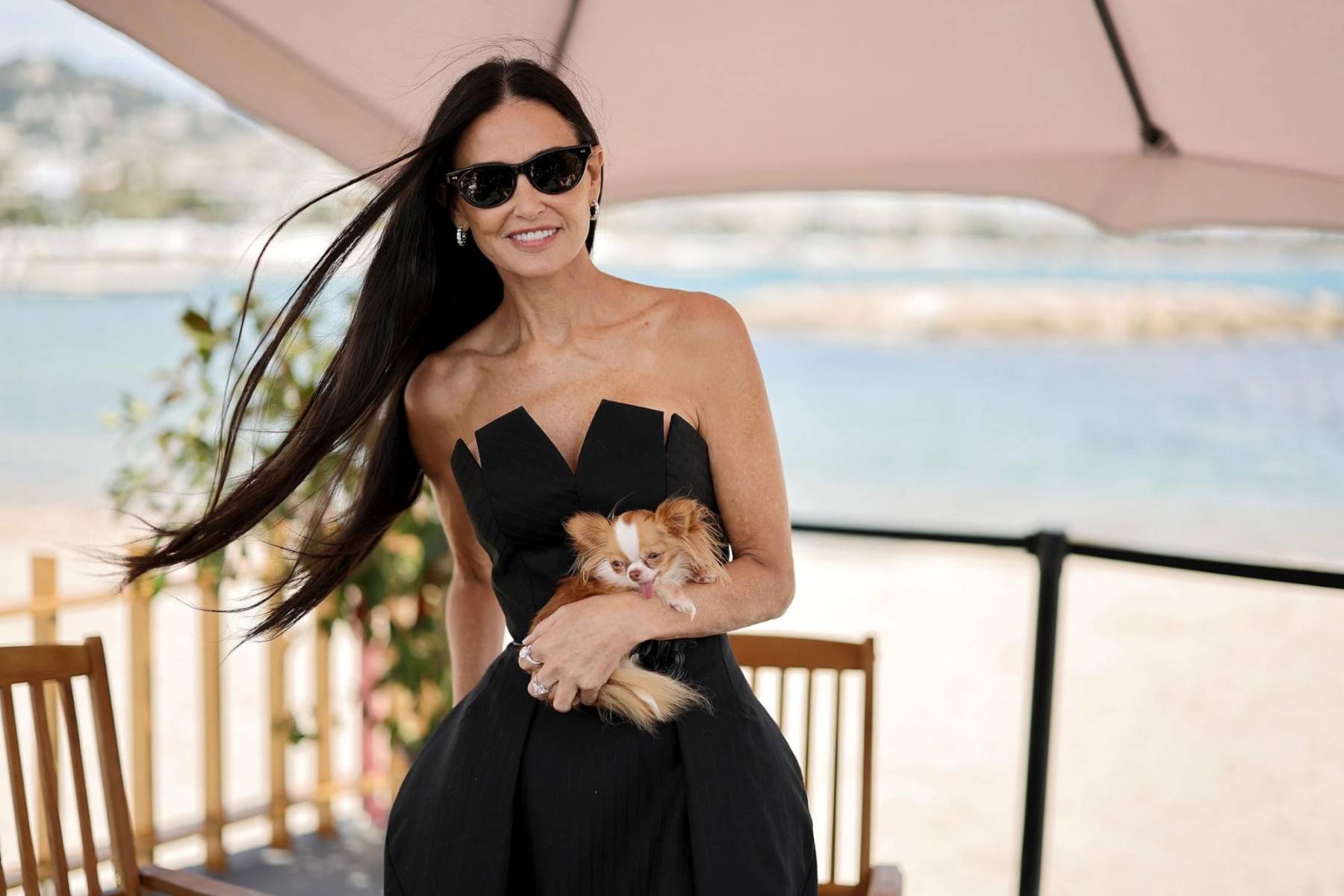 Pilaf, el chihuahua miniatura de Demi Moore, lleva un estilo de vida envidiable para cualquier canino y claro, para cualquier mortal. Hace unos días, la actriz llegó al Festival de Cine de Cannes con su inseparable amigo, quien también robó cámara a orillas de La Croisette. Repasamos algunos de los momentos más fashion de este inseparable dúo. 