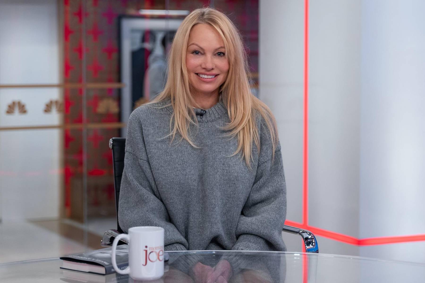 <b>Pamela Anderson</b>Pamela acusó a su ex y padre de sus hijos, Tommy Lee, de haberla golpeado durante todo su matrimonio. Razón por la cual Tommy estuvo en la cárcel durante seis meses.
