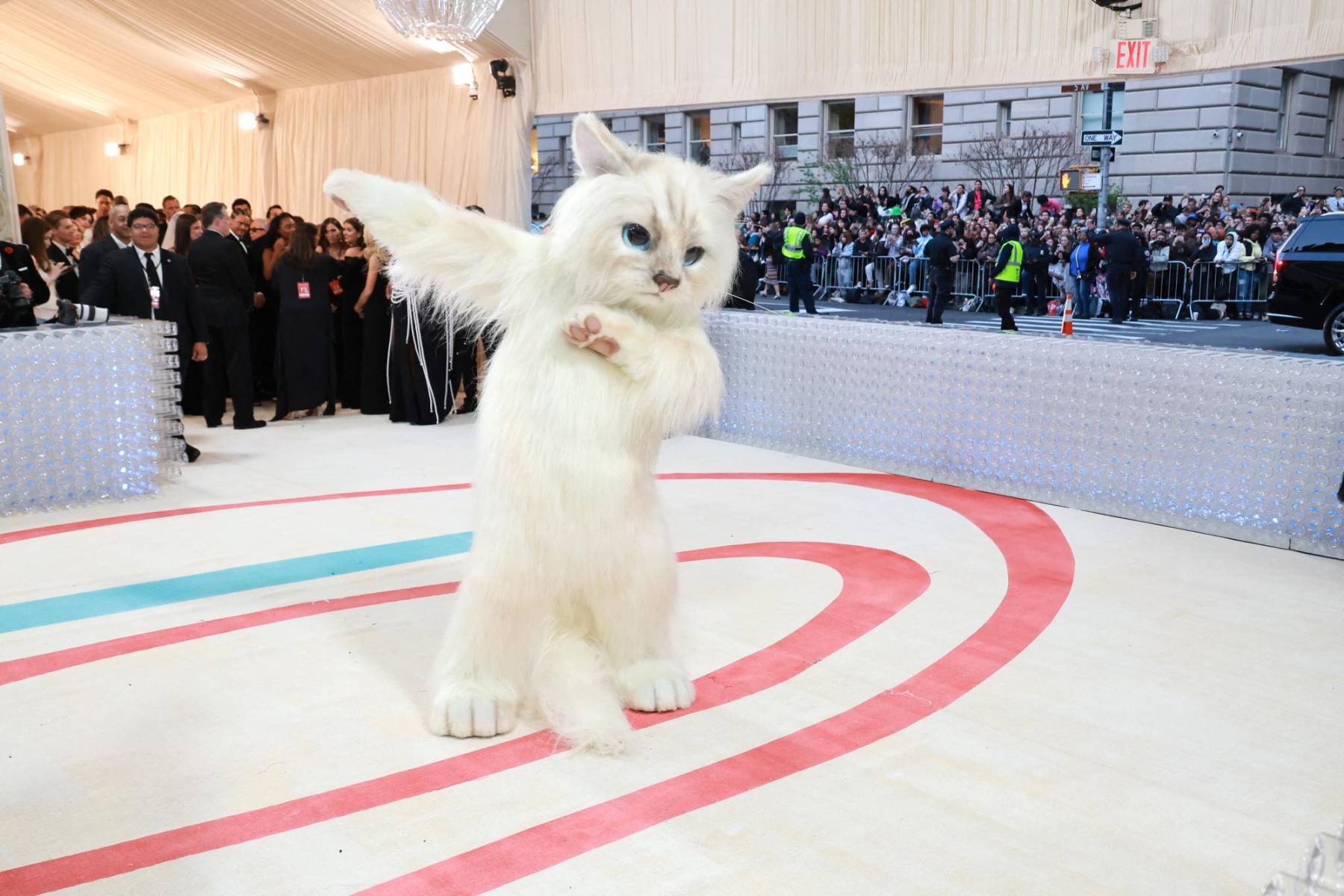 Los looks icónicos de la MET Gala 2023