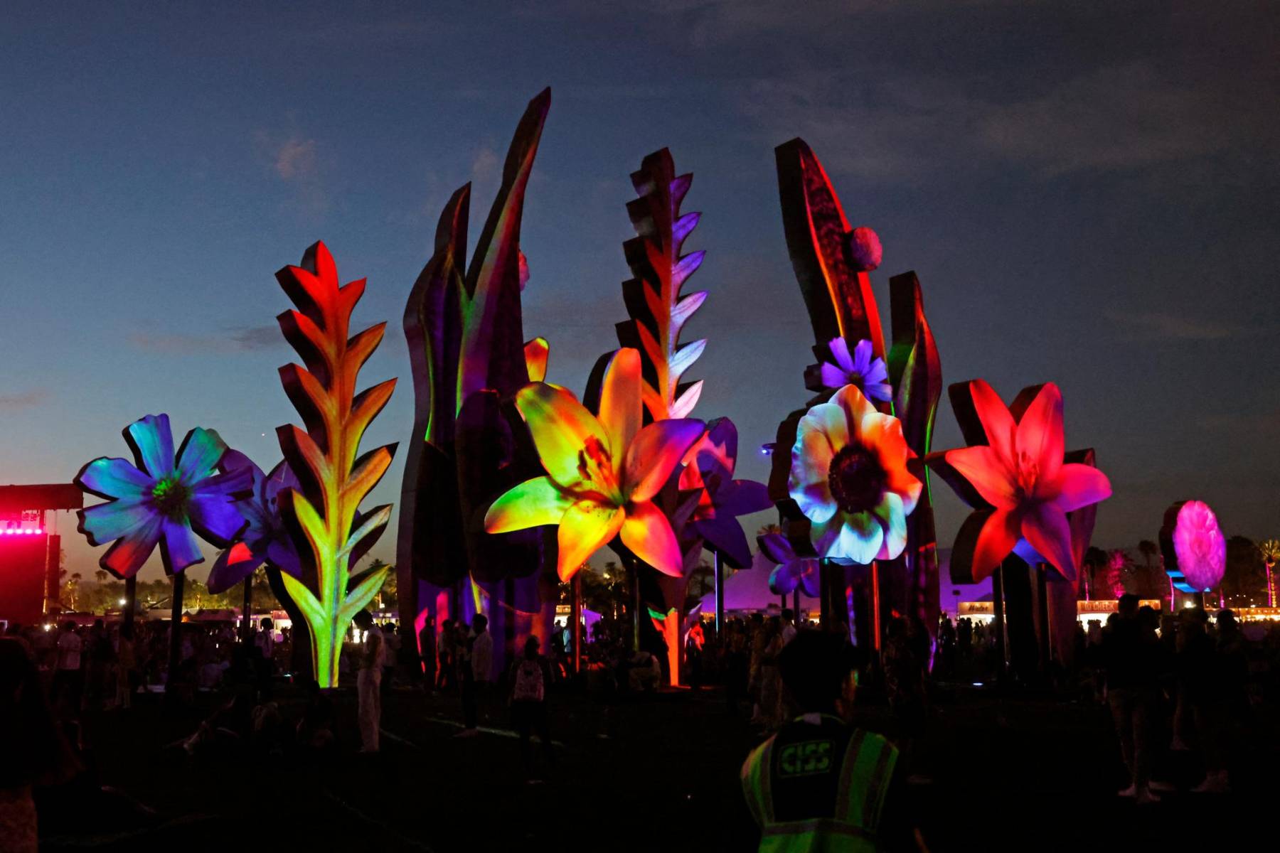 Los artistas que brillaron en Coachella