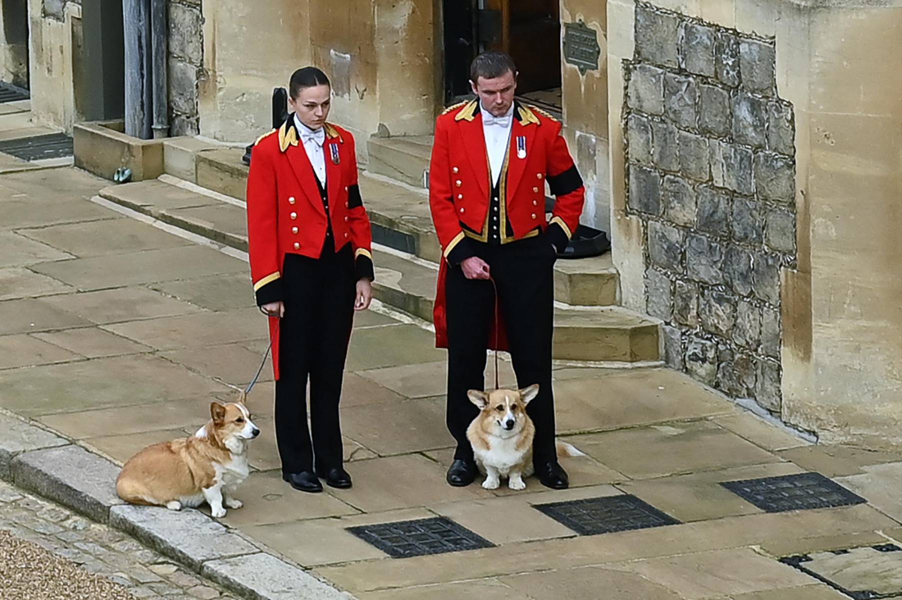 Los corgis de la reina Isabel II, Muick y Sandy, aguardan en las afueras del castillo Windsor la llegada del ataúd de su dueña (Photo by Glyn KIRK / POOL / AFP)
