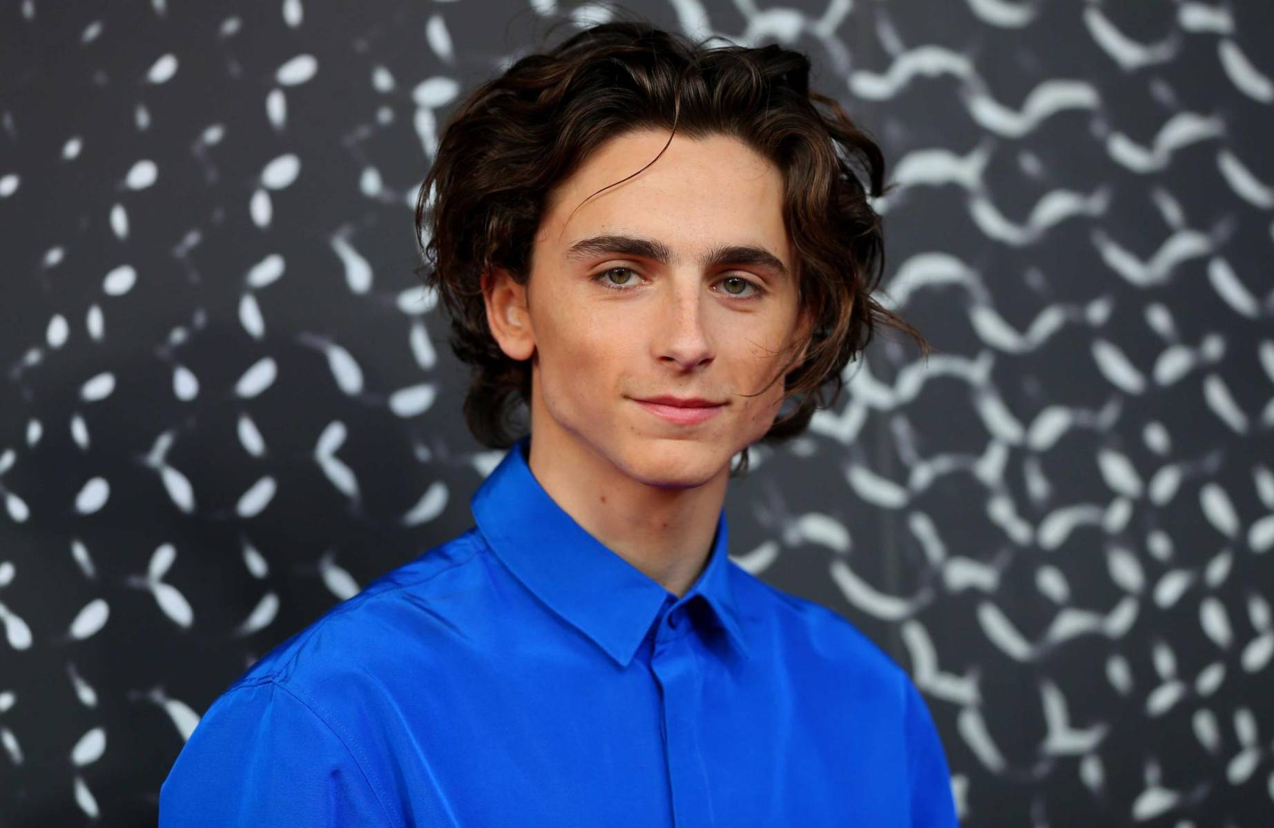 <b>Timothée Chalamet</b> ha conquistado al público con sus extraordinarias interpretaciones en películas como “Call Me by Your Name”, “Mujercitas”, “Dune” y la más reciente “Wonka”. Su carismática presencia en pantalla y su notable destreza para dar vida a una diversidad de personajes lo han posicionado como uno de los actores jóvenes más destacados y prometedores de la industria cinematográfica.