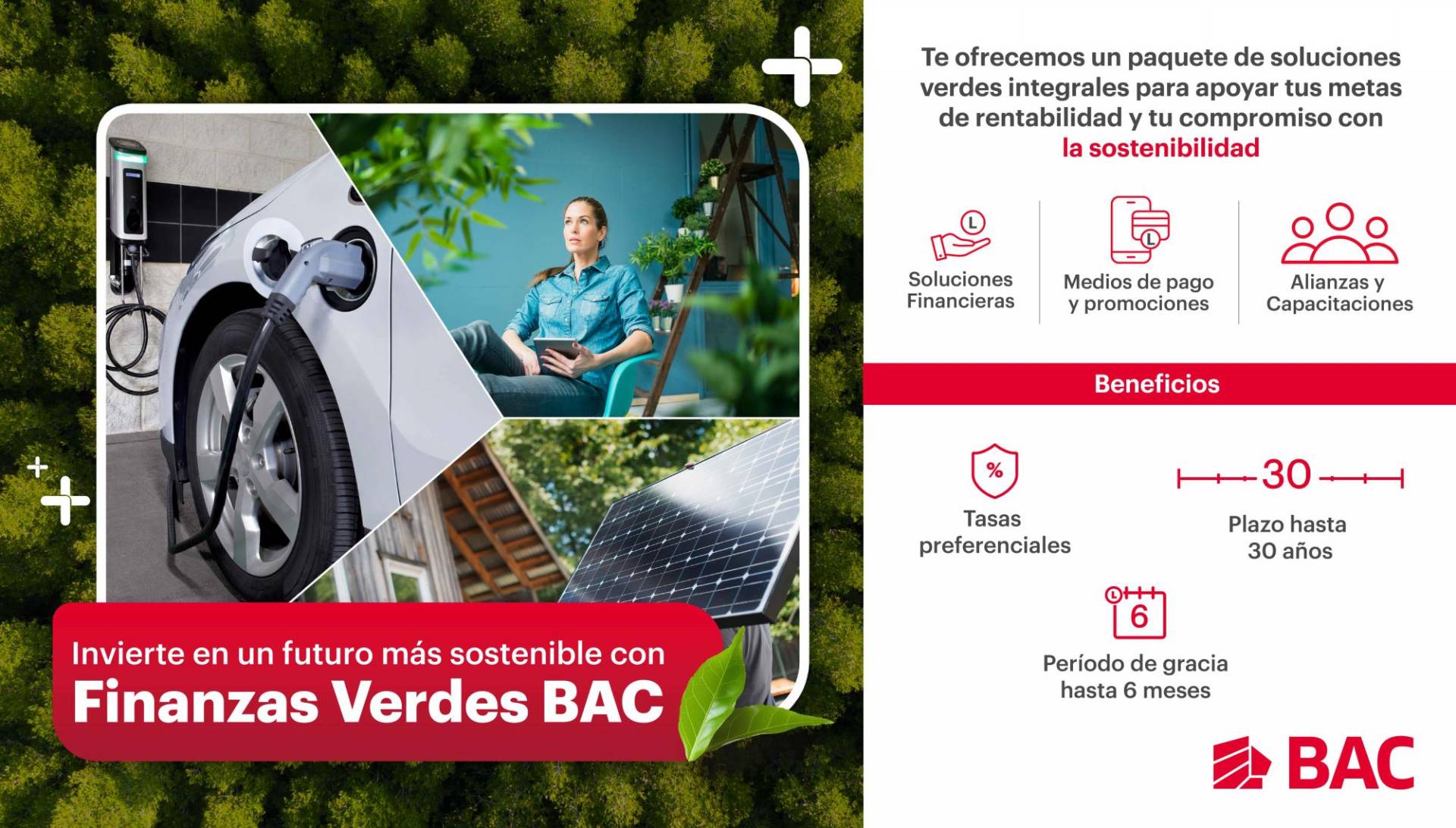 BAC lanza “Finanzas Verdes”: una apuesta hacia la sostenibilidad y la innovación financiera
