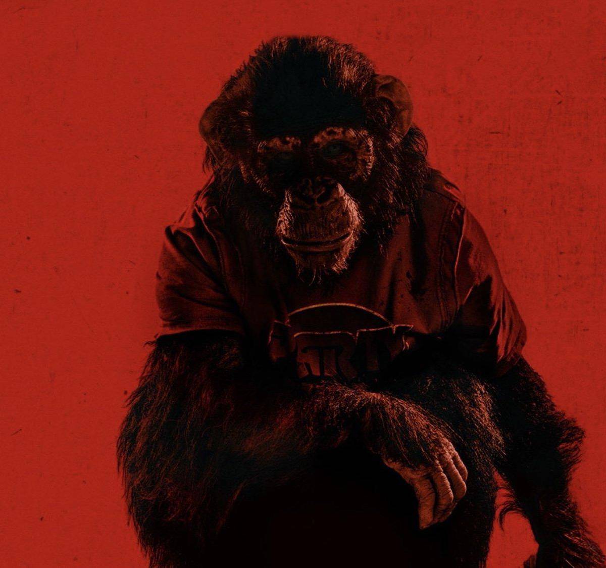 <i>Primate </i>se perfila como una de las primeras grandes experiencias cinematográficas del año, ideal para quienes buscan emociones fuertes y una historia que juega con nuestros miedos más primitivos.
