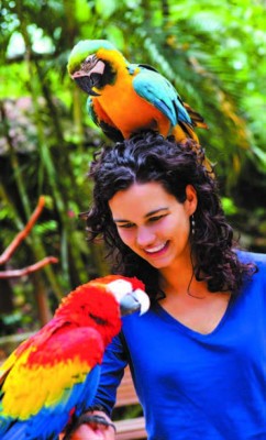Diez imperdibles en Copán