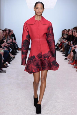 Giambattista Valli Fall-Winter 2014