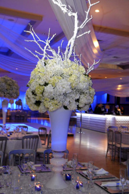 Boda Pineda-Colindres