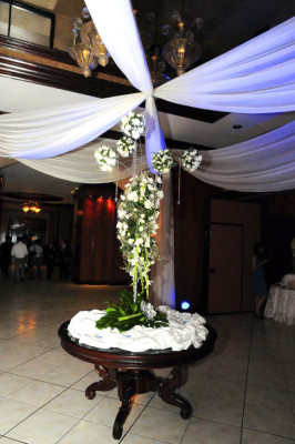 Enlace Borrell Araujo