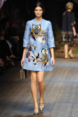 Dolce y Gabbana Fall 2014