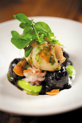 Daniella Rezai desde Miami