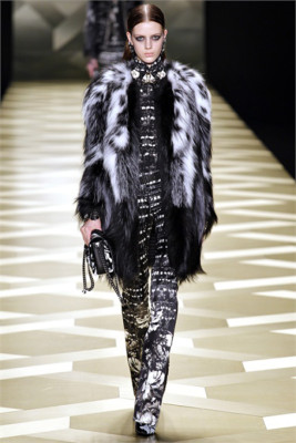 Roberto Cavalli 14
