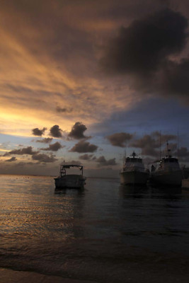 Torneo de pesca en Roatán