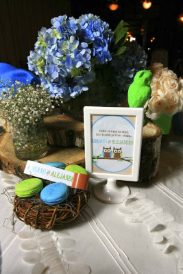 Baby shower para Vanessa Camarena y Xochitl Yuja
