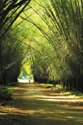 Lugares turísticos que puedes visitar