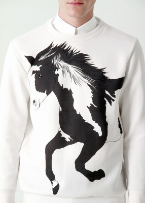 Carlos Campos y el mundo gaucho