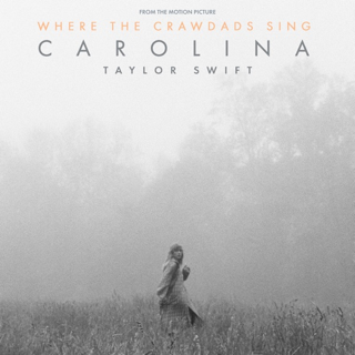 Mejor canción: Taylor Swift – “Carolina” (“Where The Crawdads Sing”).