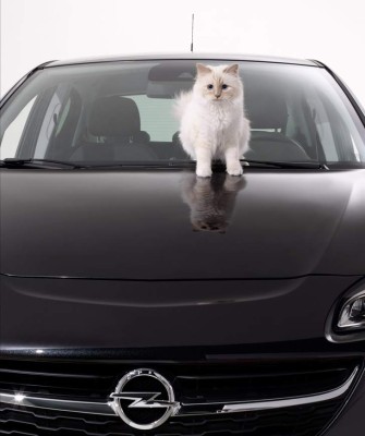 La gata de Karl Lagerfeld ganó millonaria suma en 2014