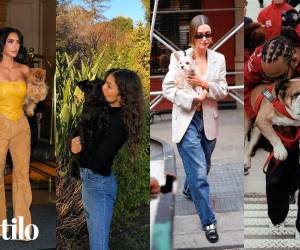 Desde Zendaya con Noon hasta Ariana Grande con Toulouse, es probable que reconozcas alguno de estos perritos por sus célebres dueños, ya sea por sus posts en Instagram o por fotos tomadas por los paparazzi. Así que, si eres amante de los perros, seguro que vas a disfrutar de ver cómo estas estrellas adoran a sus amigos peludos.