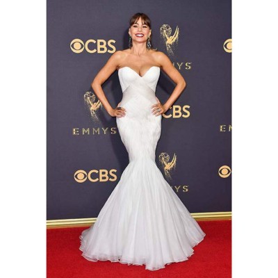 LOS ANGELES, CA - SEPTEMBER 17: Actor Sofia Vergara attends the 69th Annual Primetime Emmy Awards at Microsoft Theater on September 17, 2017 in Los Angeles, California. Frazer Harrison/Getty Images/AFP
