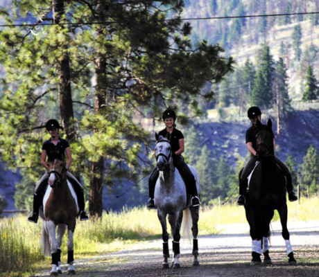 Top ten summer camps