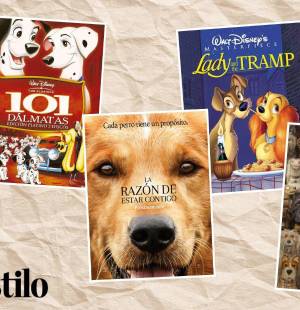 El Día Mundial del Perro, establecido en 2004 por la Organización Mundial de Protección Animal (WSPA), es la ocasión ideal para maratonear películas que presentan a nuestros amigos peludos como protagonistas. Así que prepara snacks para ti y tu mascota y disfruta viendo una de estas 12 películas con tu compañero de cuatro patas.