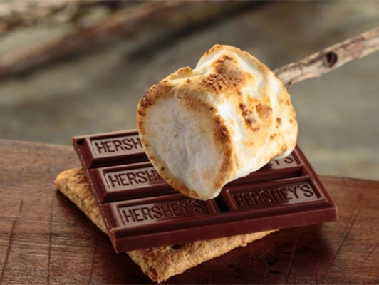 Cada 10 de agosto se celebra en todo el mundo el día de los s'mores, la galleta con mavavisco y chocolate es uno de las mieriendas favoritas de cientos de personas