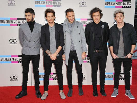 AMA Awards 2013