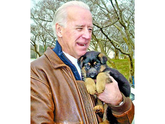 <br/>Desde siempre, los Biden han sido amantes de los perros. Anteriormente tuvieron otros tres pastores alemanes, además de un gran danés.<br/>