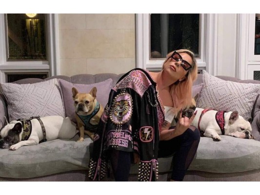 Asaltan al paseador de perros de Lady Gaga<br/>La Mother Monster sufrió uno de los peores momentos de su vida: el secuestro de sus adorables perritos. Su paseador y cuidador, Ryan Fischer, estaba realizando su labor cotidiana cuando de repente fue sorprendido por unos hombres armados que dispararon contra él para luego arrebatar de sus manos dos de los tres bulldog franceses de la cantante. El trabajador de la artista fue llevado directamente a emergencias y se recuperó satisfactoriamente. Los perros fueron encontrados dos días después.<br/>