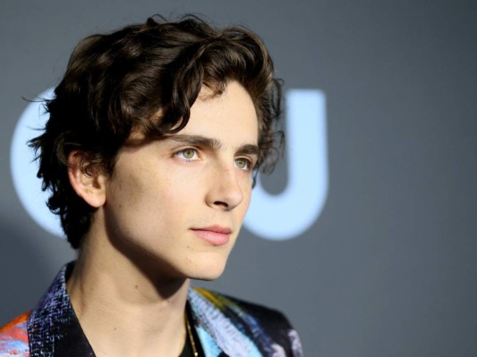 9. Timothée Chalamet.