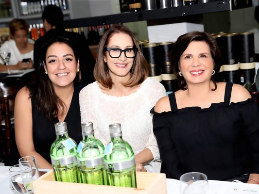 Gin Tonical experience en Casa del Ron