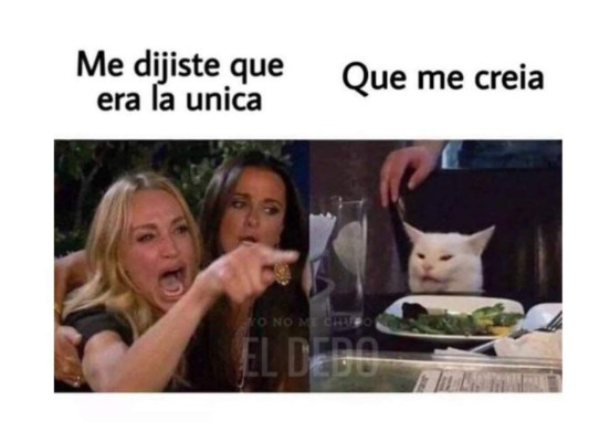 ¡Los mejores memes del famoso gato en la mesa!