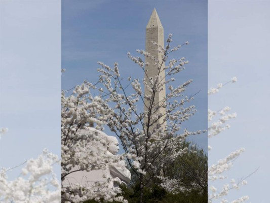 La primavera alrededor del mundo