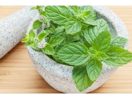 La menta: La menta es uno de los remedios más eficientes para evitar la caída del cabello, además de eso le aportará grandes beneficios como ayudar a fortalecer el pelo y darle un brillo increíble.