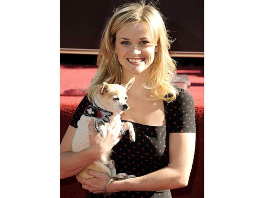 Reese Witherspoon despidió al perro dela cinta Legalmente rubia, Moonie quien tenía 18 años, 'Nunca olvidaré todos esos días que pasamos juntos'.