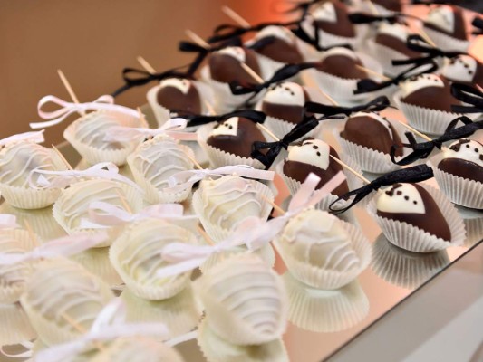 Inolvidable fiesta nupcial Anchecta-Mayes