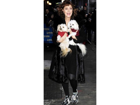 Susan Sarandon con sus perros un caniche y un maltés pomerania.