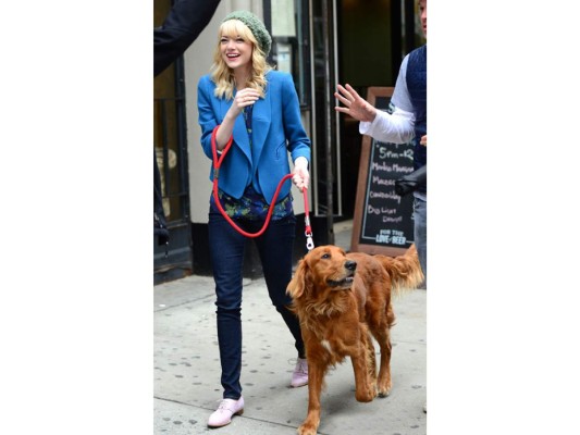 Emma Stone con su perro Golden <br/><br/>