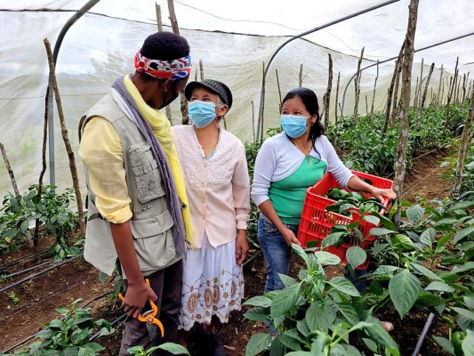 Elizabeth Nyamayaro: cambiando el mundo un alimento a la vez