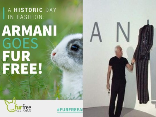 Giorgio Armani informó que en la actualidad el desarrollo tecnológico ha creado nuevas alternativas para dejar de usar las pieles de los animales. Mediante esta preocupación ambiental decidió que su firma italiana no usaría más las pieles para la elaboración de sus prendas.