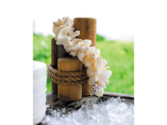 #14 Caracoles, conchas de mar, madera y fibras naturales para decorar.