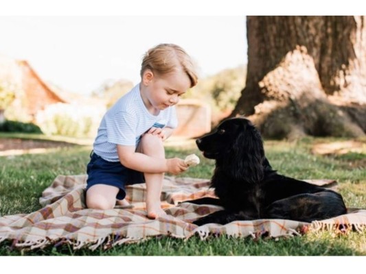 El Príncipe William y Kate Middleton tienen un cocker spaniel llamado Lupo, quien ha sido captado por la cámara de los fotógrafos en varias ocasiones. Kate mencionó que también han adoptado un hámster llamado Marvin.