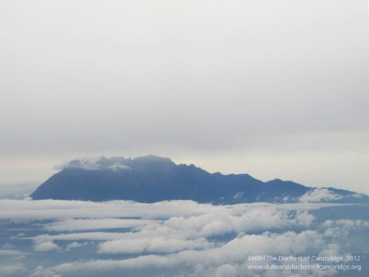 William y Kate estrenan página web