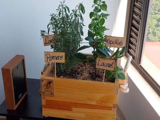 Kit de cultivo<br/>Es sin duda un regalo útil, ecológico, original y, a la vez, implica una actividad para hacer juntos.<br/>