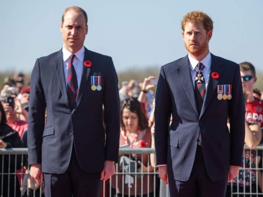 ¡Los príncipes Harry y William rendirán homenaje a la princesa Diana!