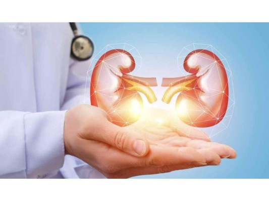 5. Es un diurético natural, ayuda a limpiar nuestro cuerpo y evita la retención de líquido ya que este promueve la producción de orina y previene las infecciones urinarias y la formación de piedras en los riñones.